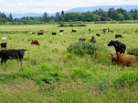 Summer Vacation 2018-115  Cheese is one of Oregon's largest exports - this is how!